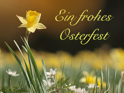 Oster-Foto mit Osterglocken