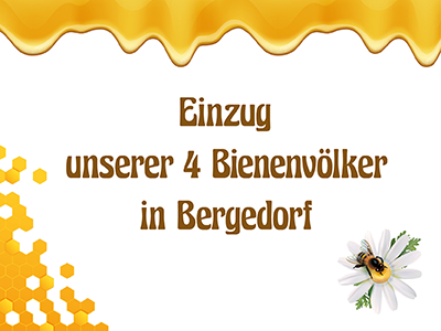 Titelfoto für Einzug unserer 4 Bienenvölker in Bergedorf